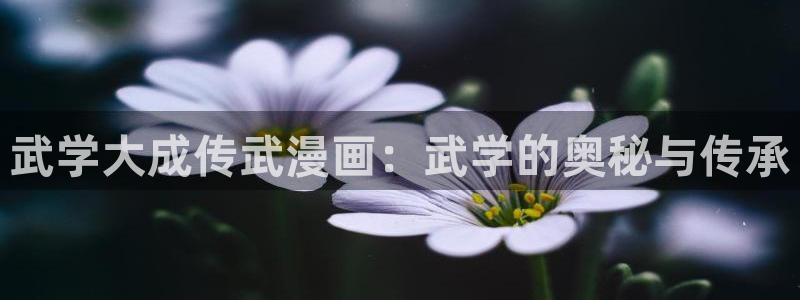 汉化全彩漫画漫画之家