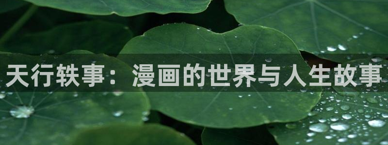 彻夜之歌漫画免费漫画之家