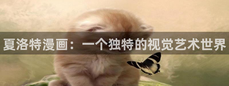 动漫漫画之家